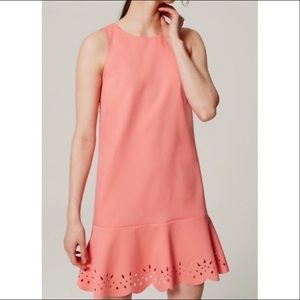 LOFT Laser Cut Floral Flounce Dress (NWOT)